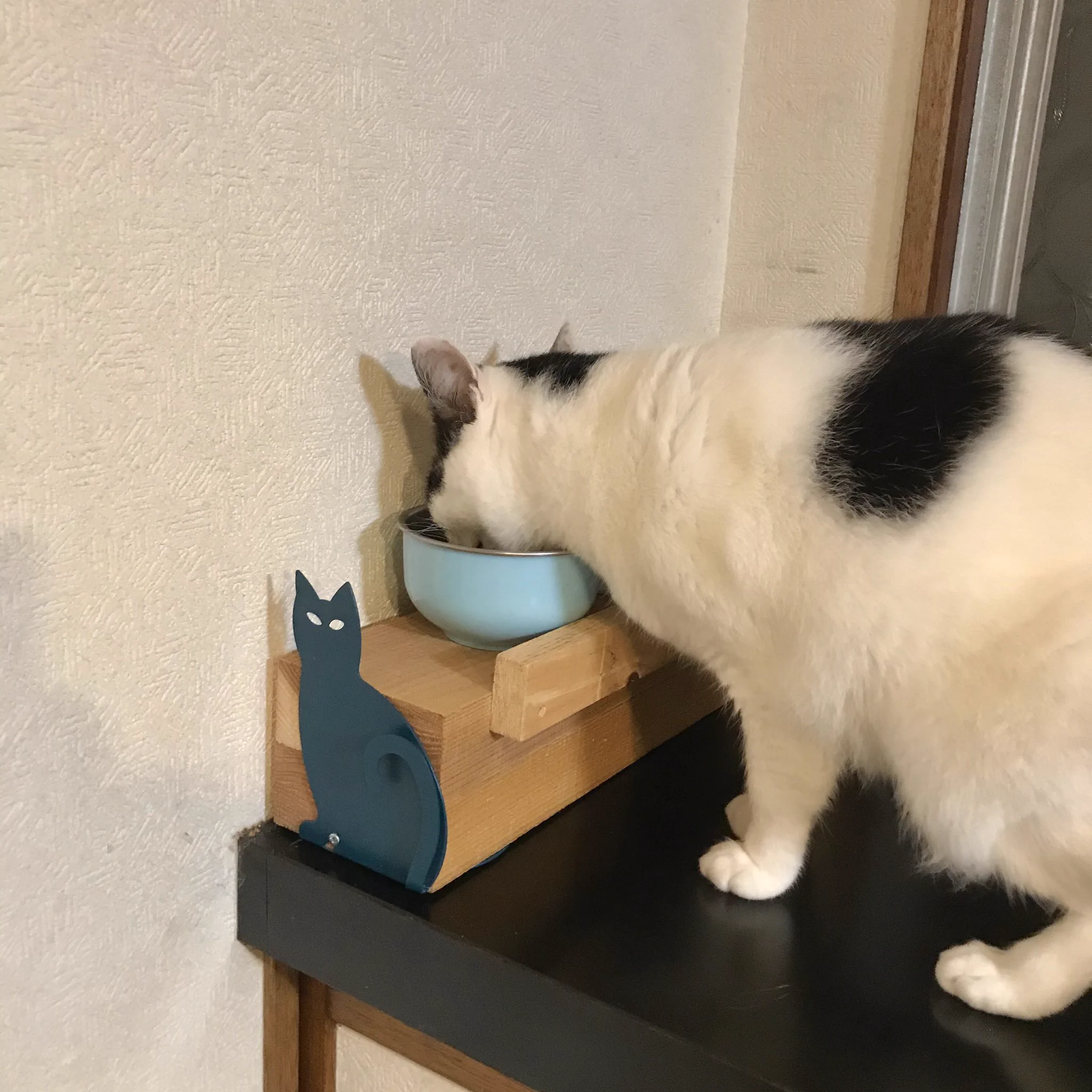 猫の餌を15cmあげたとこにすると吐かなくなる！知った夫の神対応！！！