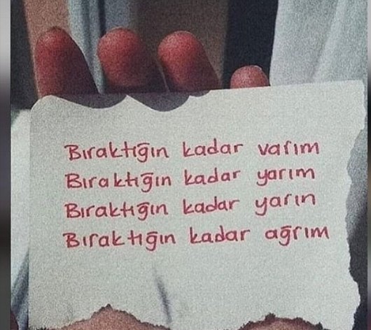 tarkankarabul1's tweet photo. https://t.co/x2drvxtYBV