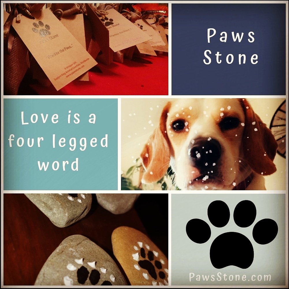 PawsStone tweet picture