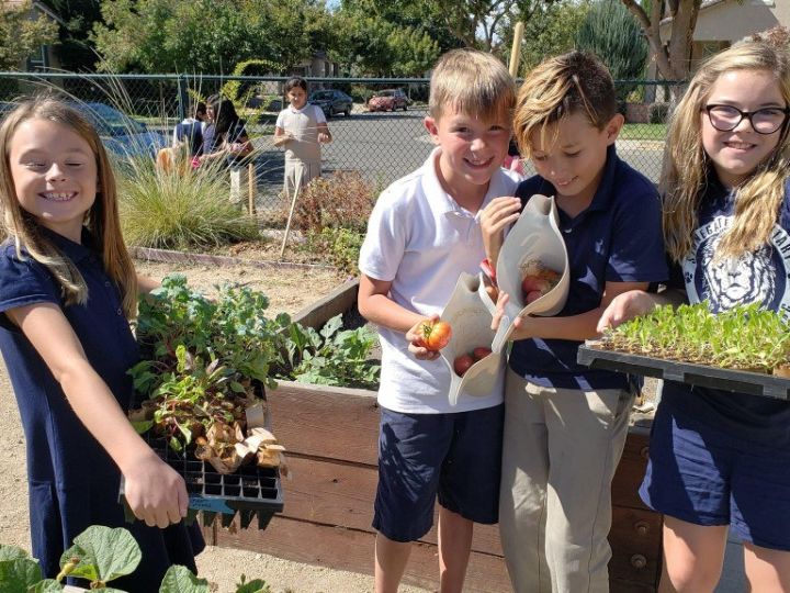 Time is running out! Please help us raise $10k by tomorrow (12/31) to reach more kids in 2020! You can help them live a better life, develop lifelong healthy habits, and give back to their community. yolofarmtofork.org/donate, text VEGGIES to 707070. bit.ly/2F3UYxt
