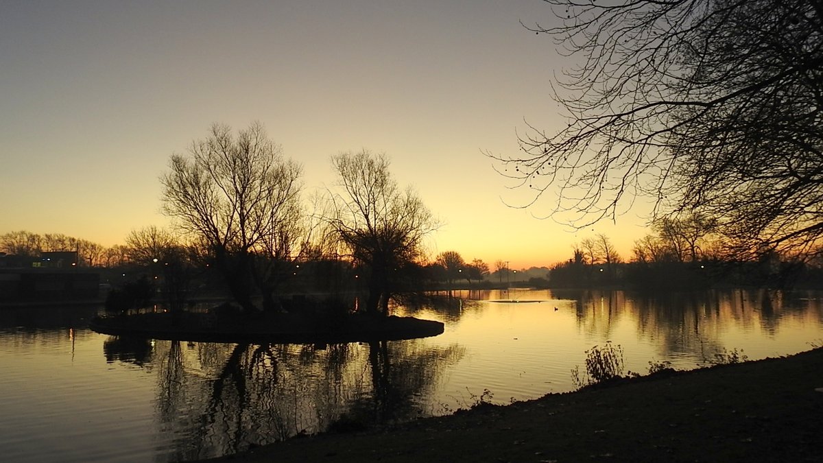 clive mitchell tweet media