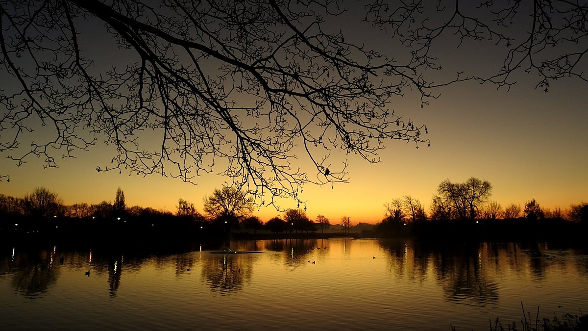 clive mitchell tweet media