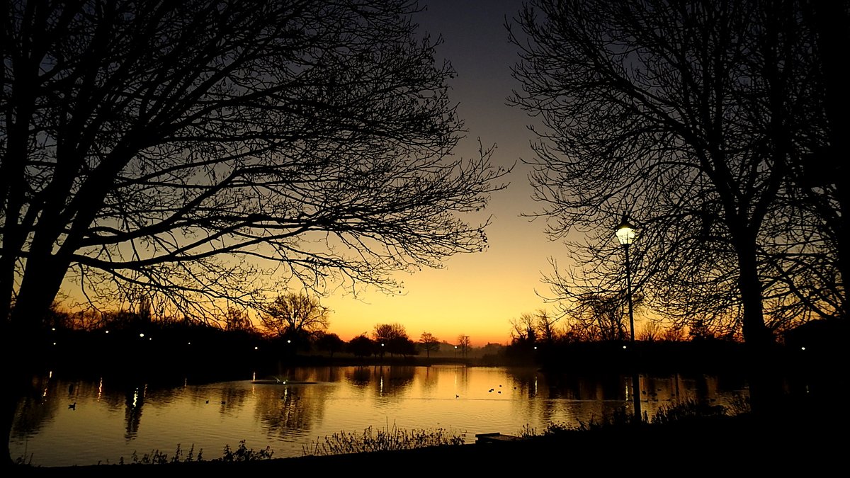 clive mitchell tweet media