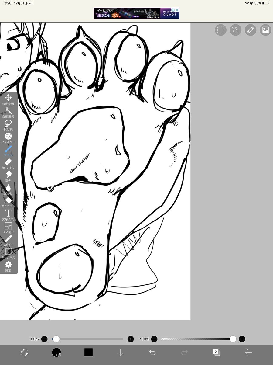 Paw? 