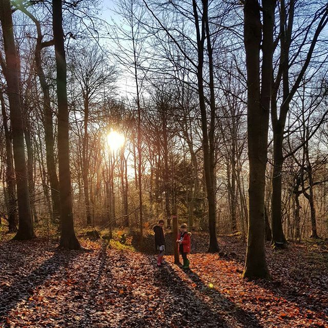 LivePlayEatBnt's tweet photo. Beautiful afternoon at Wendover Woods today, it was great to get out and get some fresh air and exercise after being at home for Christmas and eating all the mince pies! 
There's loads for kids to do, a play trail, a Zog trail, a Gruffalo orienteering tr… https://t.co/gGGhFGKlsO https://t.co/ElA41VBOYZ