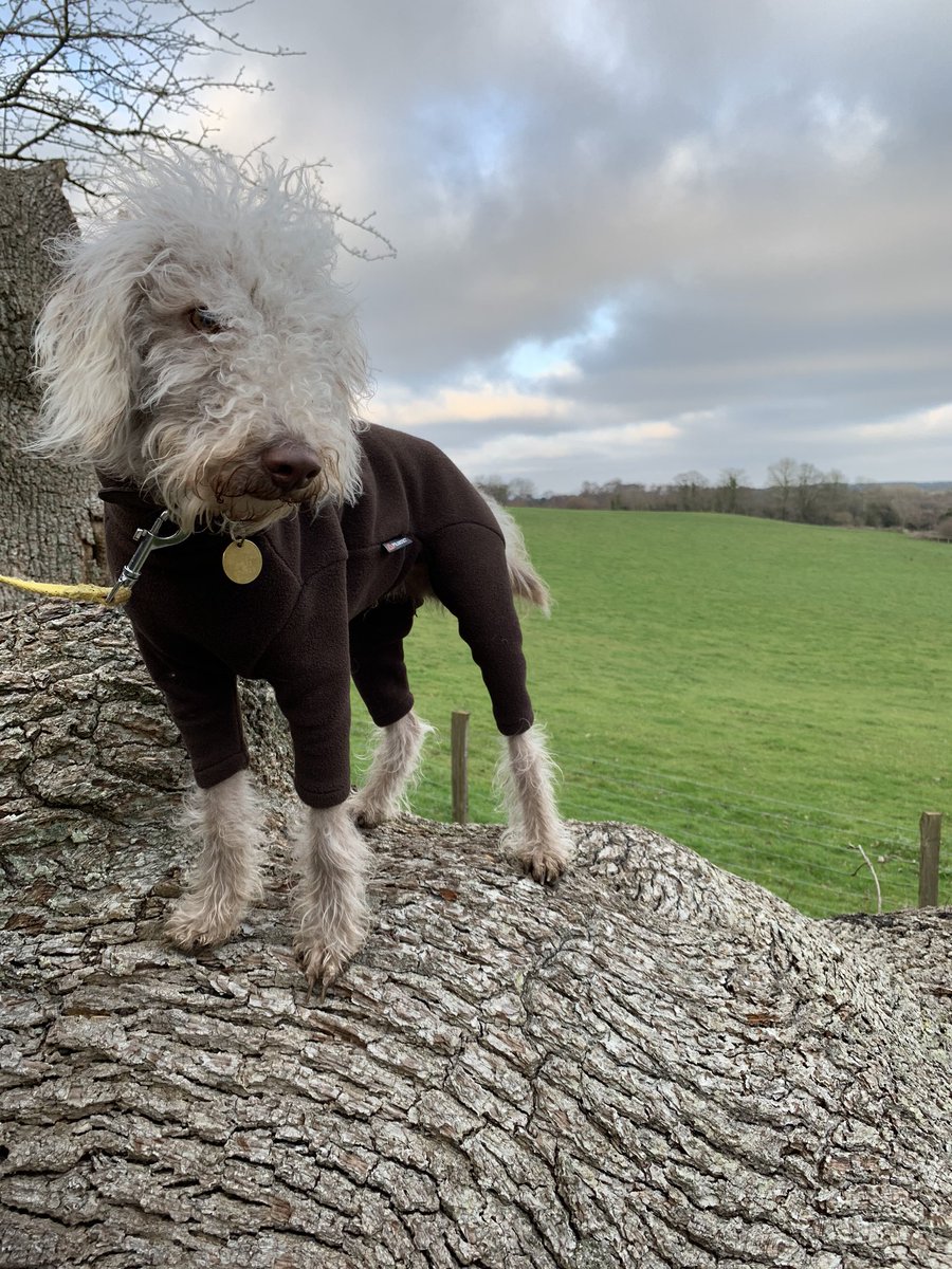 Ａｎｄｒｅｗ　Ｗｒａｇｇ tweet media