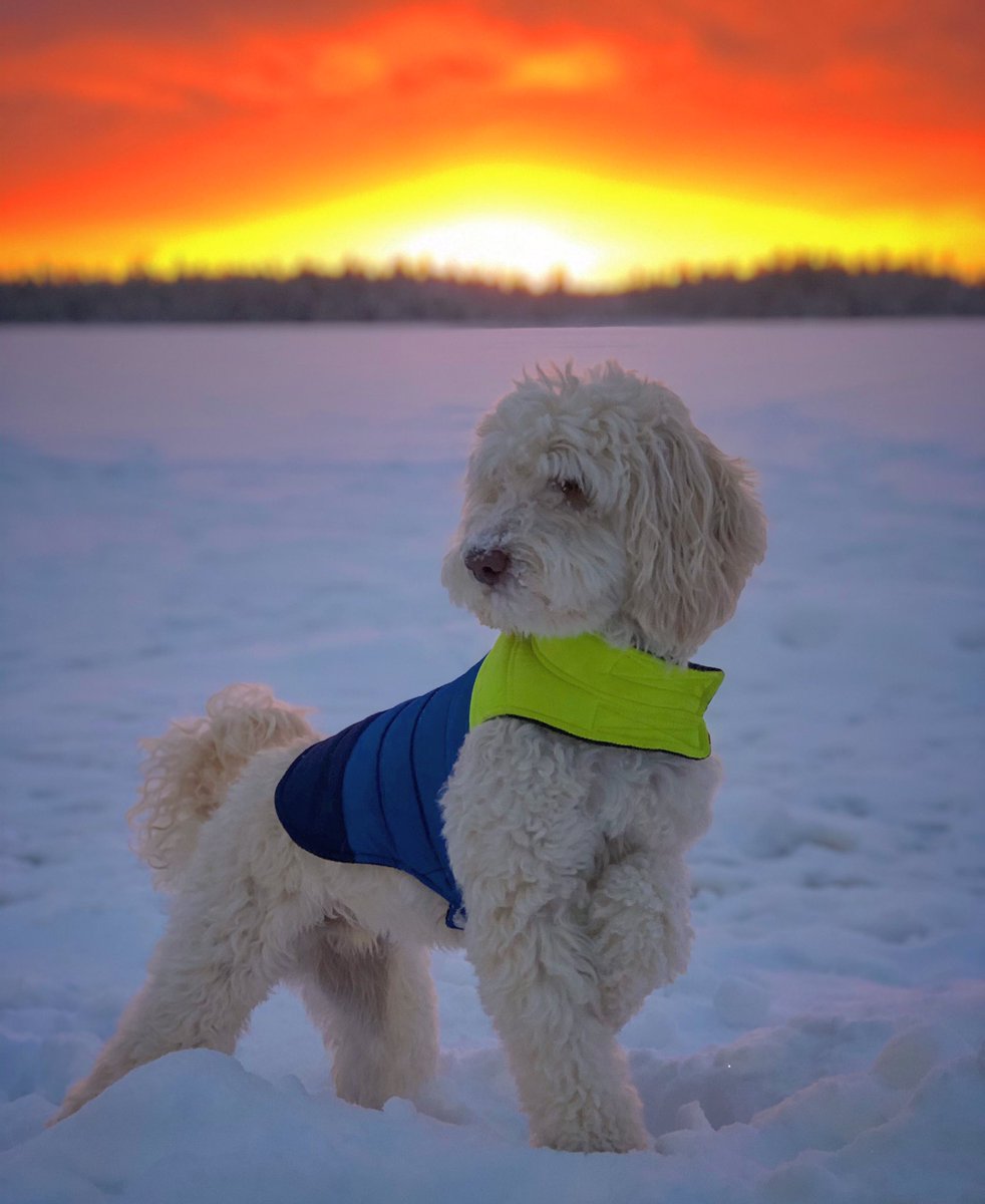 Regardless of what season we’re in, Prince George sunsets are consistently and exceptionally amazing. #cityofpg #takeonpg #HYPG