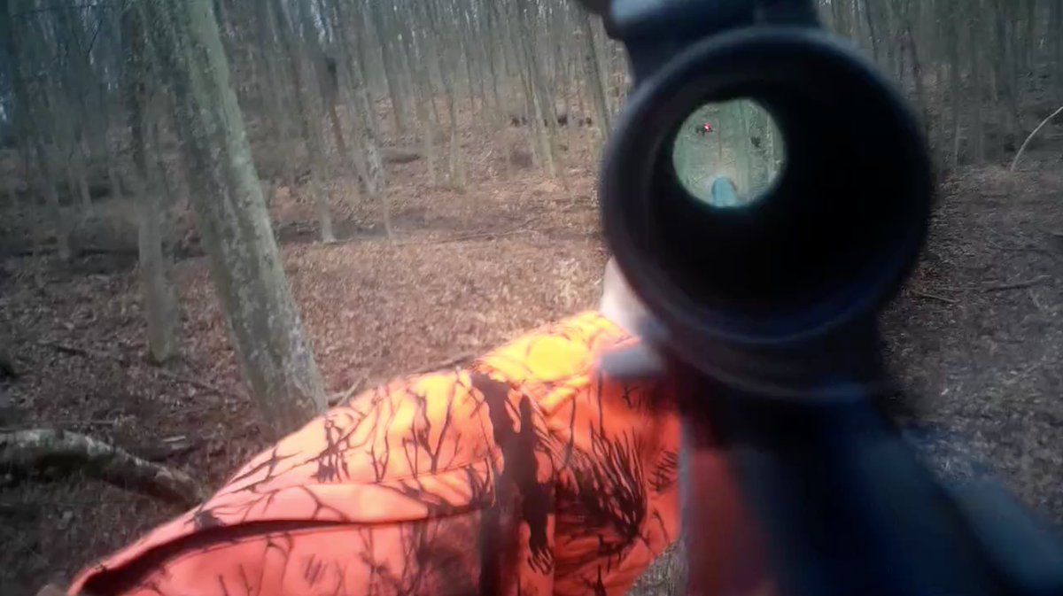 AimCam_Official's tweet photo. It's an old screenshot but we love how well the wild boar are picked up by the AimCam video and the scopes red dot reticule. Wild boar for dinner. 

#aimcam #hunting #seeityourway #hunt #wildboar #filmmaker #film #camera #glasses #rifle #boarhunt #rifleshoot #caccia #jagt #jakt https://t.co/yYracjVqFJ