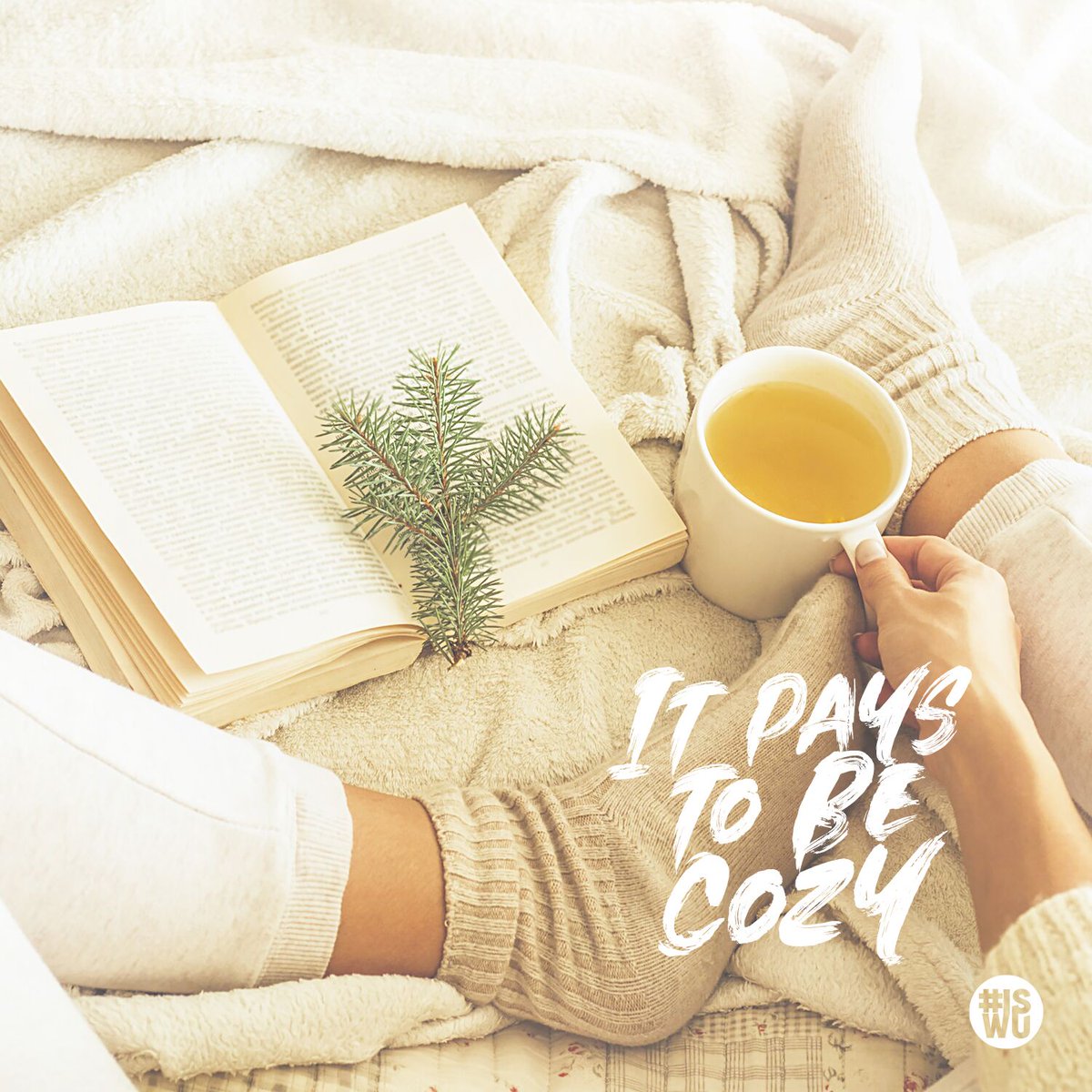 Hear us out: Carpets, rugs, and blankets, are all insulators. They keep your house warm and your thermostat low, saving you money AND reducing your #energy use! 
**Googles hygge**