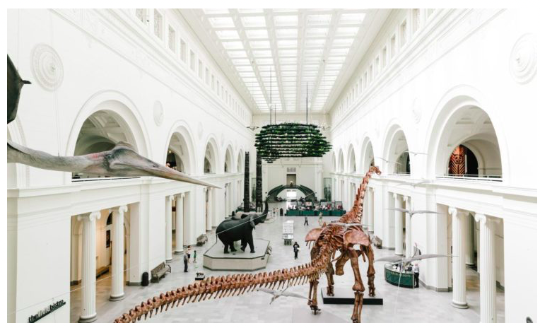 PLIDAnetworking's tweet photo. Every Monday, PLIDA will be featuring a Chicago Attraction! You may want to add these to your 'must see' list while you're here for #IPBC2020!
Chicago Attraction Feature - Chicago's Museum Campus

Have you reserved your #IPBC hotel room at @DrakeChicago? https://t.co/X4qReluiHm https://t.co/k7K69wJZRH