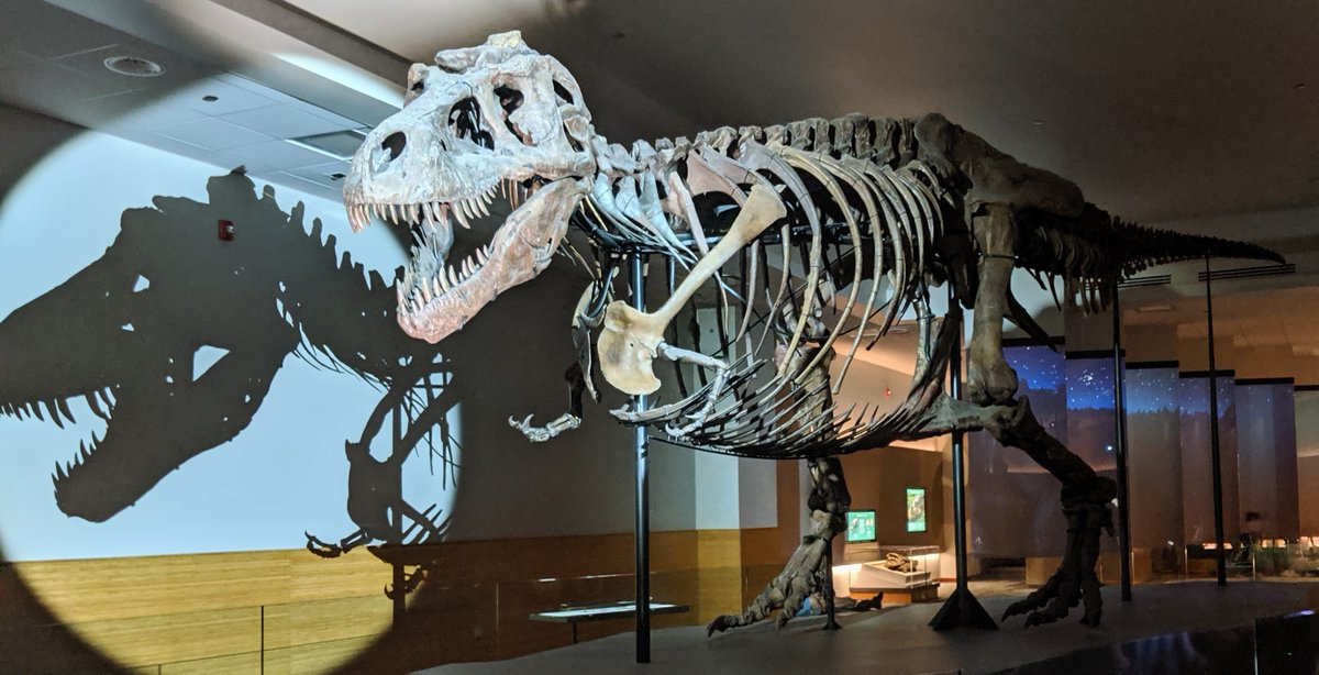 PLIDAnetworking's tweet photo. Every Monday, PLIDA will be featuring a Chicago Attraction! You may want to add these to your 'must see' list while you're here for #IPBC2020!
Chicago Attraction Feature - Chicago's Museum Campus

Have you reserved your #IPBC hotel room at @DrakeChicago? https://t.co/X4qReluiHm https://t.co/k7K69wJZRH