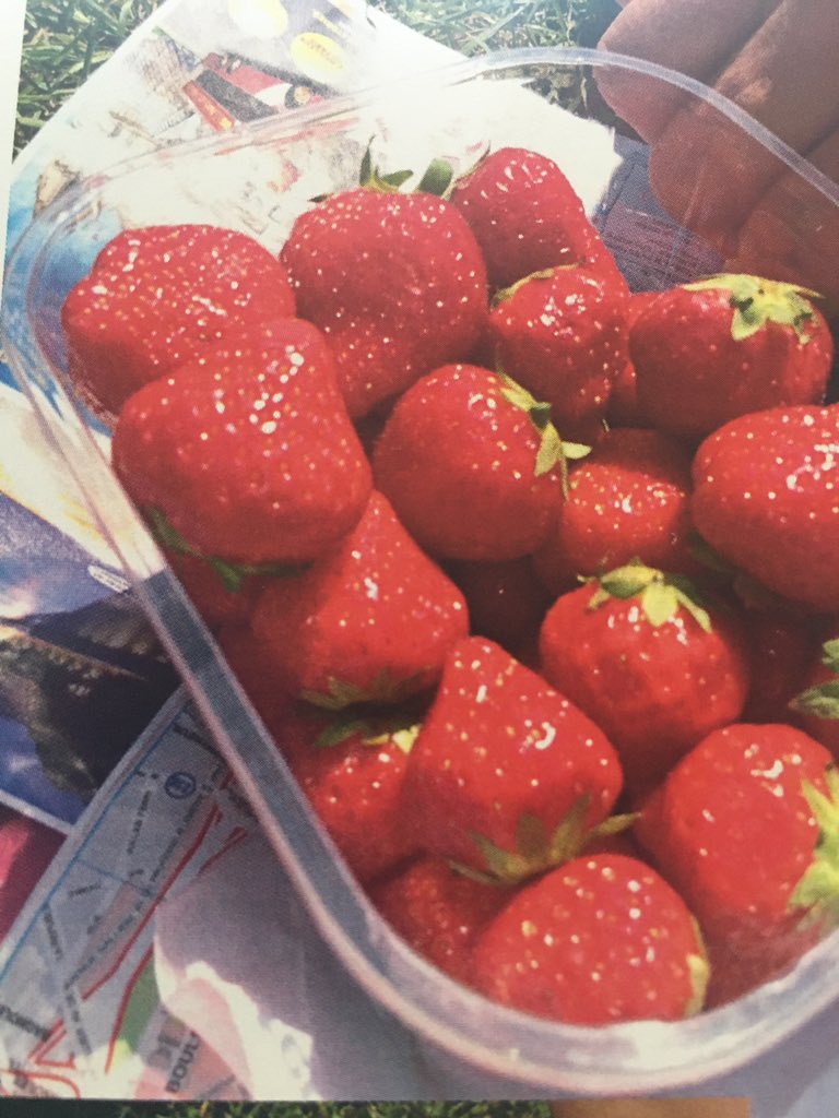 LyssasmellsMail's tweet photo. I;m thinking about thos berries https://t.co/18qdyd6bio