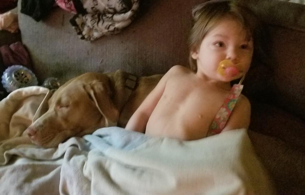 BeachSnowflake2's tweet photo. When someone tells me they are scared of Pitbulls, I tell them it's because they don't know one. My 2 year old and our pitbull are best friends. They do EVERYTHING together. #BestFriends #PitbullMomma4Life #pitbulls https://t.co/abd0PFQK1Z