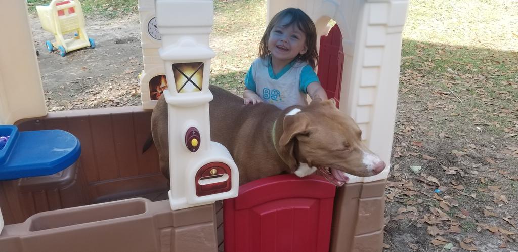 BeachSnowflake2's tweet photo. When someone tells me they are scared of Pitbulls, I tell them it's because they don't know one. My 2 year old and our pitbull are best friends. They do EVERYTHING together. #BestFriends #PitbullMomma4Life #pitbulls https://t.co/abd0PFQK1Z
