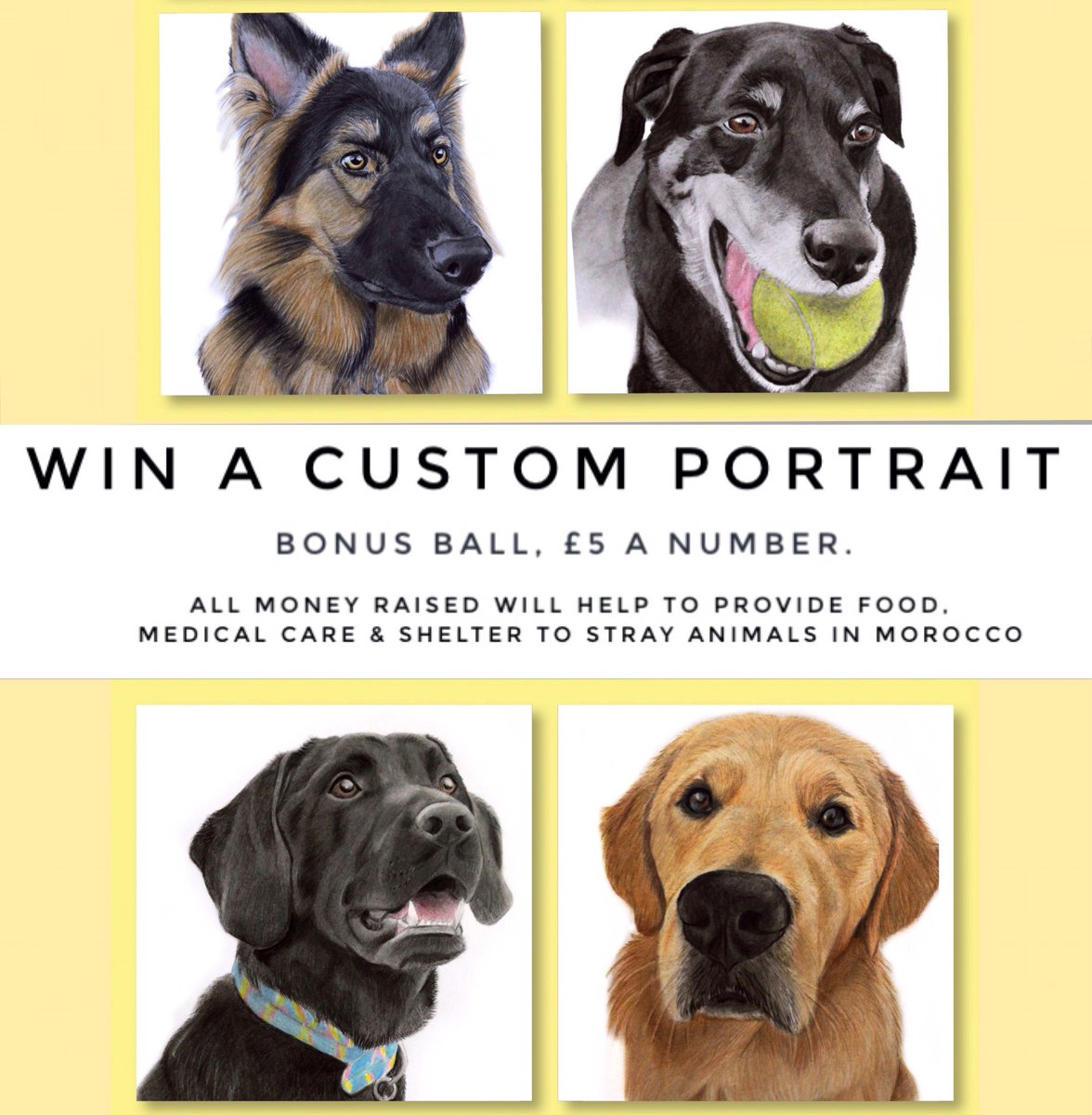 WIN A PORTRAIT ☺️💗
To be in with a chance of winning, enter the bonus ball by donating directly to gofundme.com/f/help-for-str……… &amp; let me know what number from 1-59 you’d like.
All the money raised provides medical care, food and shelter for Moroccan stray animals. Please RT 🙏