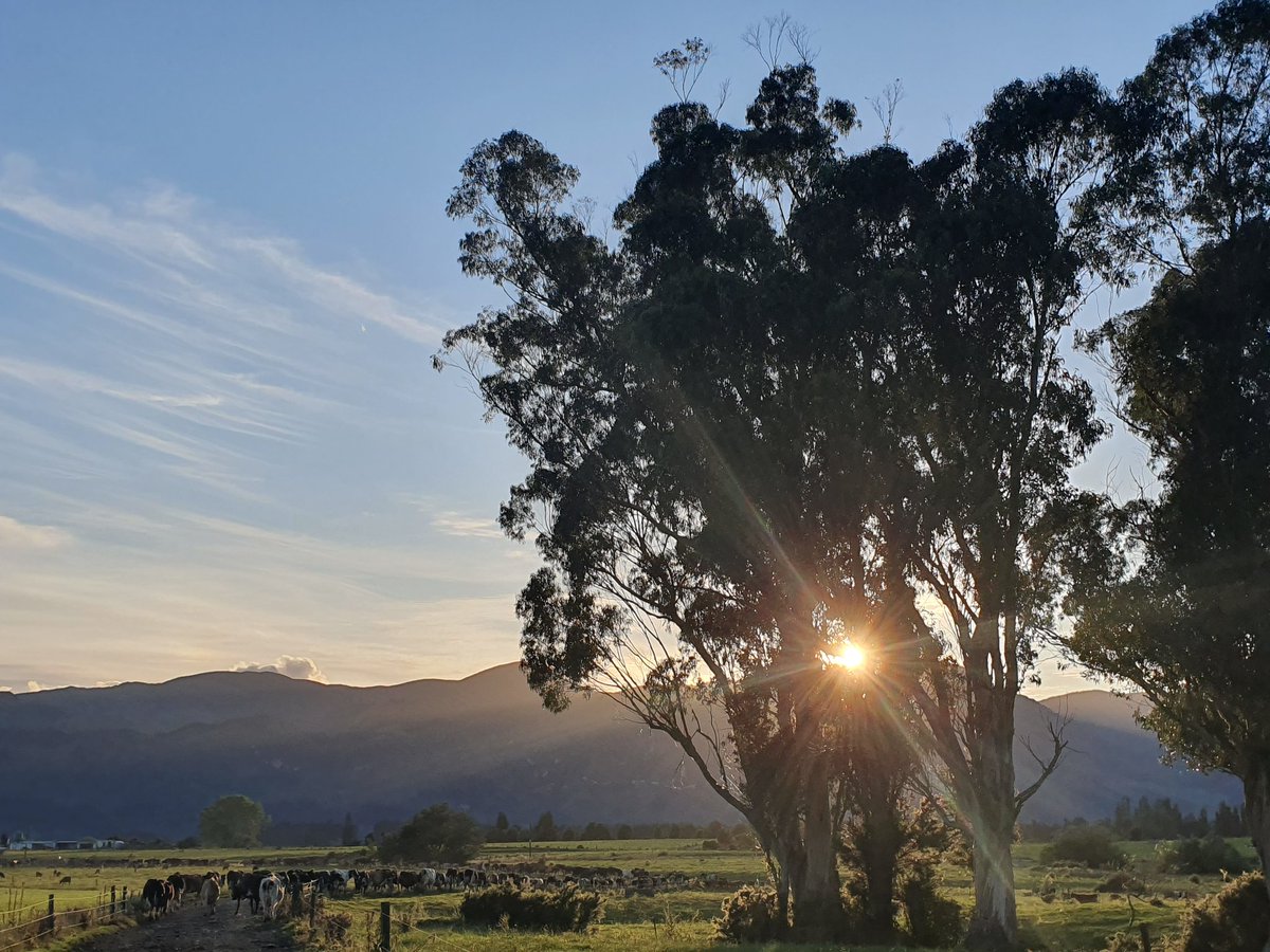 My lesson of 2019;

♥️"If you put a little love out into the world, the world will hug you back"♥️

Everybody needs ♥️ ...... and Hugs!!

What was your lesson in 2019??