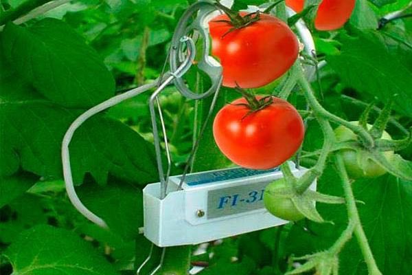 ETSIAMCordoba's tweet photo. 🗣️#ETSIAM2019 
¡El Máster @DigitalAgriUCO de  @Univcordoba se convertía en Máster Universitario Oficial para Curso 2019/20 ¡1ª y única universidad en España 🇪🇸con máster universitario en #Transformacióndigital del sector agroaliment. y forestal! 🌾🛸🛰 https://t.co/wEAtwnwP0u https://t.co/rPt6p1IhEd