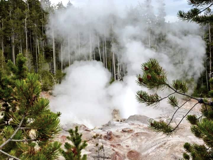 LindaPeters64's tweet photo. @Fit_life360 @YellowstoneNPS @naturetechfam @JulesHalvy @beckyjlomax @GalsWander @happytrailshike @HHLifestyleTrav @CharlesMcCool I also love the natural beauty, wildlife and geothermal wonders
of @YellowstoneNPS.
#ParksChat
#FindYourPark #NationalParks https://t.co/uTP7QrPMFq