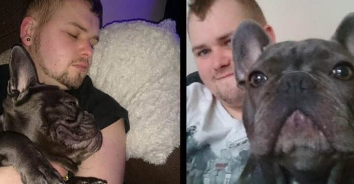 Dog Dies 15 Minutes After His Owner Who Lost Battle With Cancer doggiescare.com/dog-dies-15-mi…