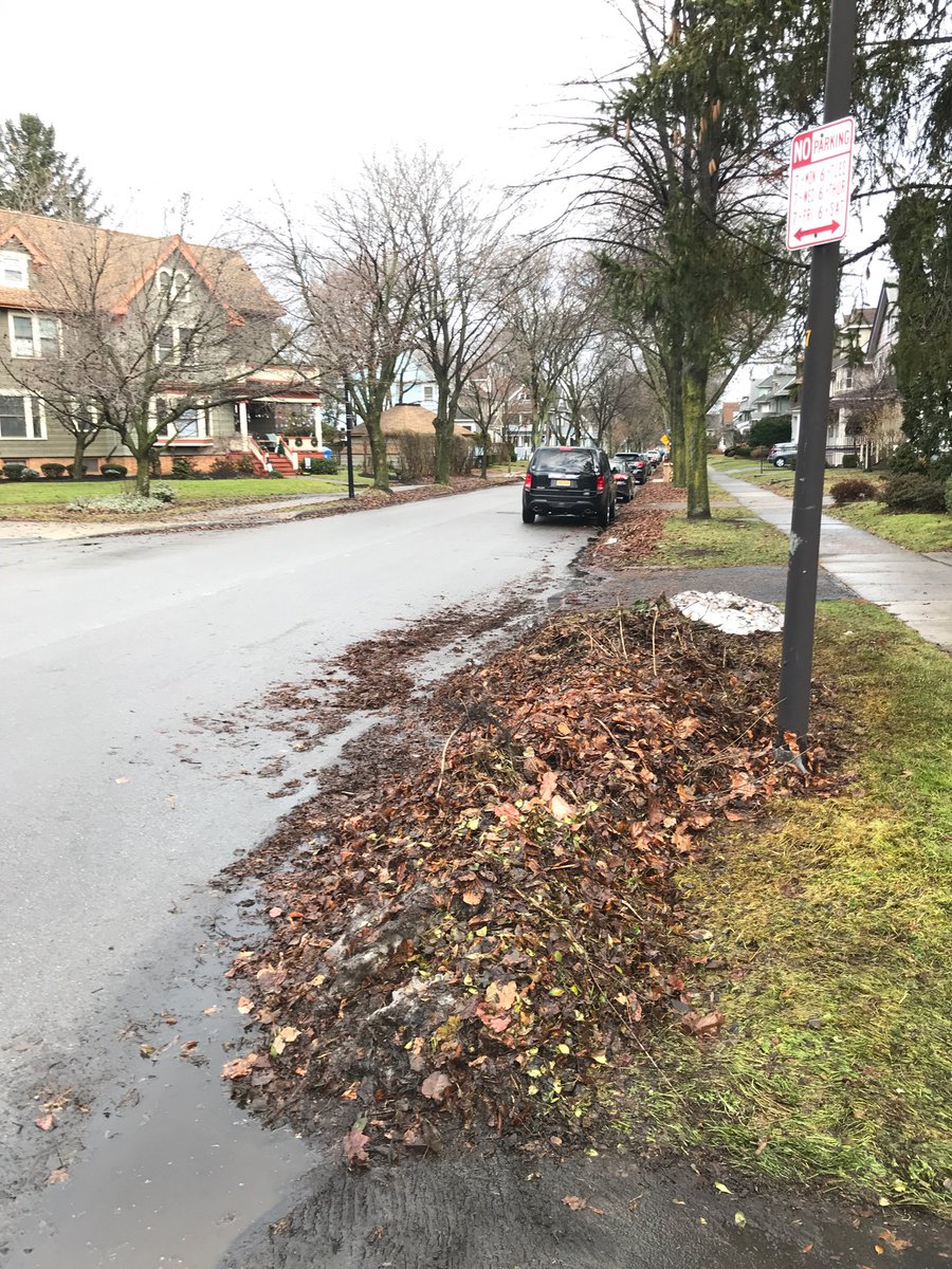 jphondo1's tweet photo. It’s a great day to pick up the leaves @CityRochesterNY @ABCStreets https://t.co/zD604SKVbZ