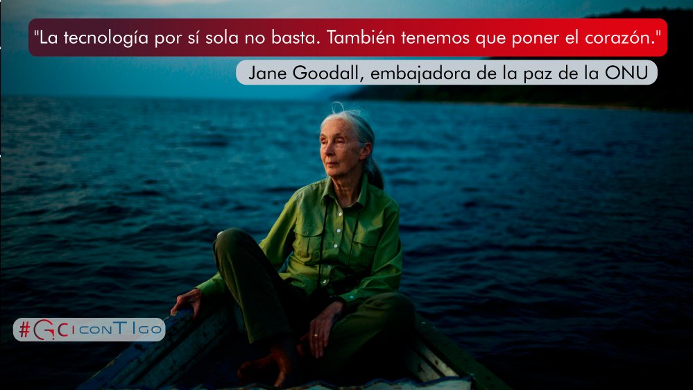 gci_informatica's tweet photo. "La tecnología por sí sola no basta. También tenemos que poner el corazón" Jane Goodall, embajadora de la paz por la ONU 🤖💖😀

#GCIconTIgo #TranformacionDigital https://t.co/Z5LxD34Bdw