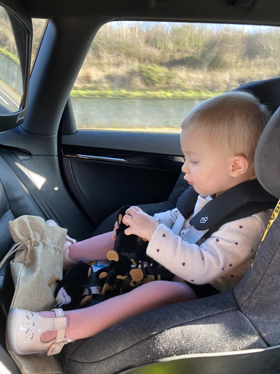 audreygeorgeco's tweet image. Who says learning can’t happen everywhere!? Here Sofia is using her monkey puppet set to practise her counting in the car 🐵 🐵🐵🐵🐵 #EYFS #Puppetsets #5littlemonkeys #childrensgifts she loves signing monkey to! #Tinytalk #babysign #BSL #makaton