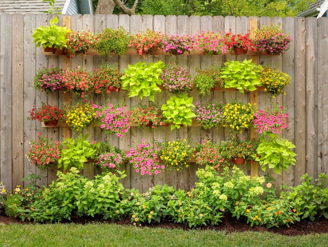 Garden Design Trend for 2020: Garden vertically.

No matter what size space you have for plants, going up will increase your garden! See all of the trends shaping the gardening world for the new year bit.ly/2020designtren… Photo by @Proven_Winners 
#verticalgardens #smallgardens