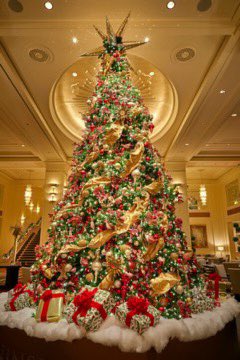 EdgarVences3's tweet photo. Love Christmas time!!! https://t.co/NuxueM9jEx