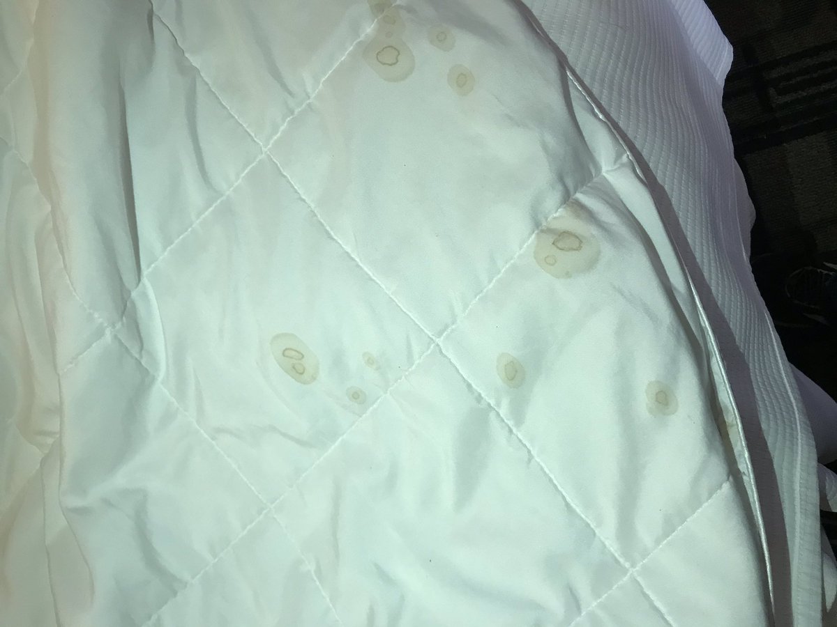 Points for Family Travel tweet media