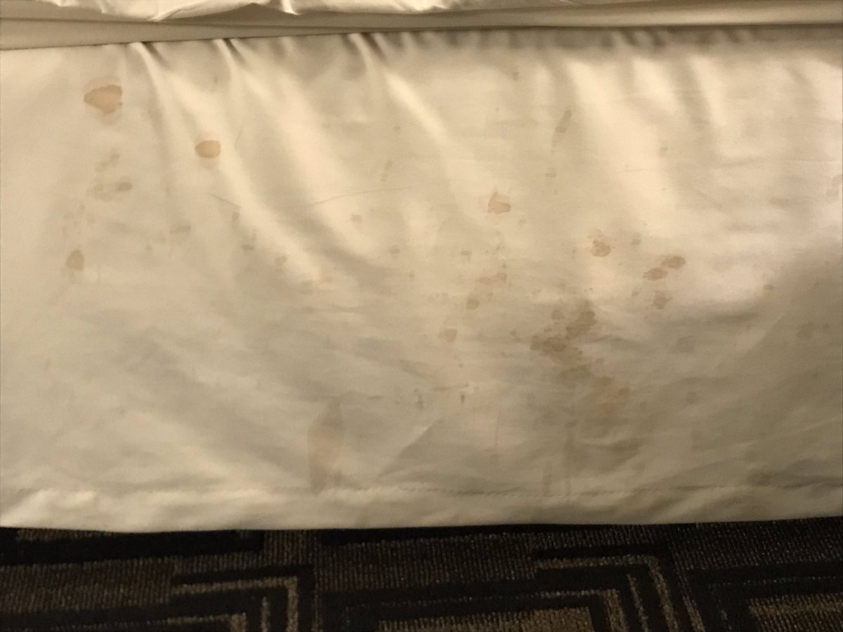 Points for Family Travel tweet media