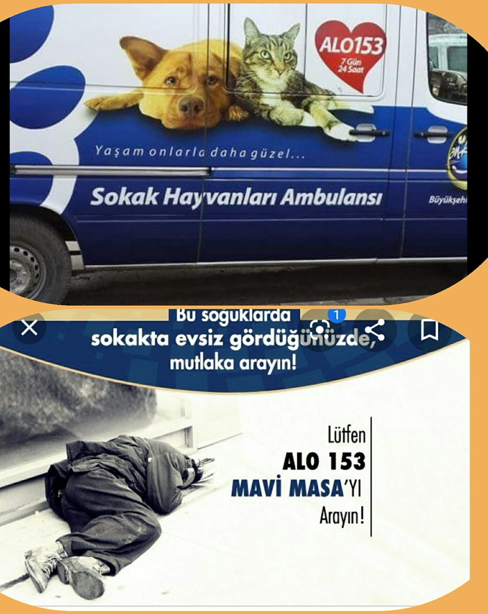 #Türkiye'nin her yerinden
sokakta #evsiz bir vatandaş veya yaralanmis #sokakhayvanı görürsk #Alo153'ü arayalm.Vatandasımza sahip çıkılır,sokak hayvanları #ücretsiz tedavi edilr

Yine de arayıp birakmamak,konunun takipcisi olmak gerek😉

#robinhood