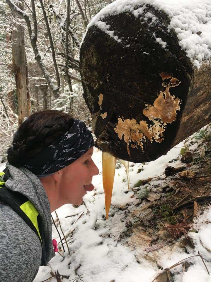 presnell_jb's tweet photo. New Geiger Rig &amp; Snowy Trails https://t.co/ea2xP4M6a9 https://t.co/F68zYUwo3z