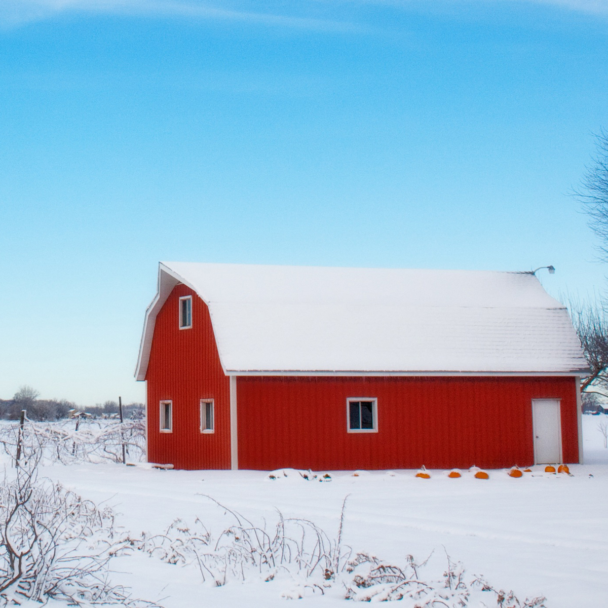 Van Sickle Vansicklepaint Twitter