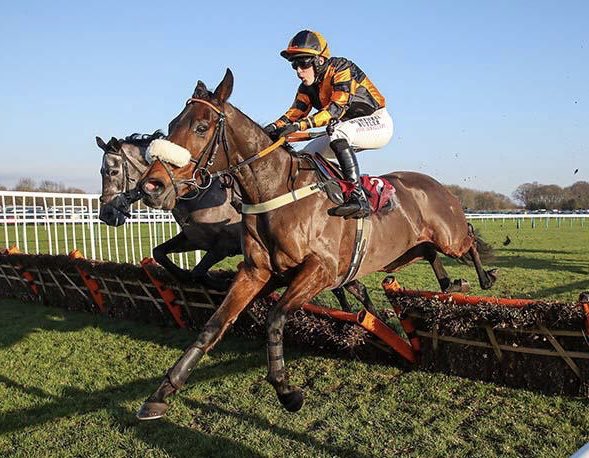 kinneston's tweet photo. Thrilled that Ebony Jewel got off the mark over hurdles @haydockraces this afternoon, not very elegant but very effective #kinneston https://t.co/txsMw1ETeH