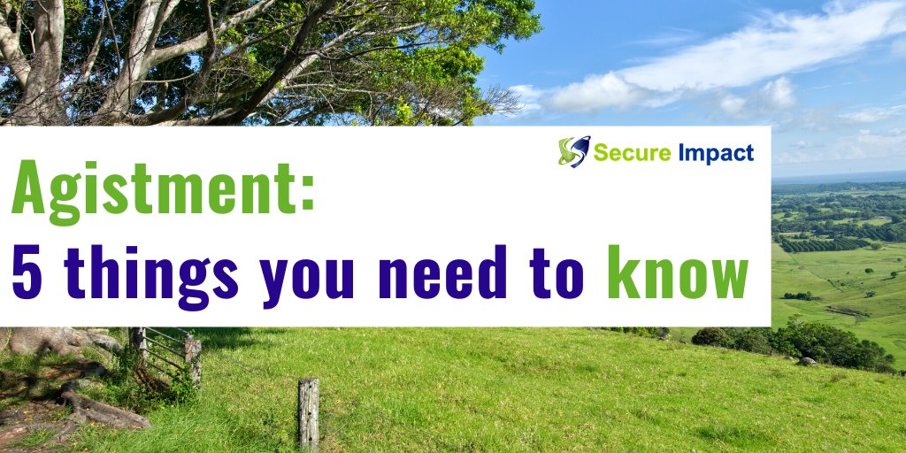 Secure Impact tweet media