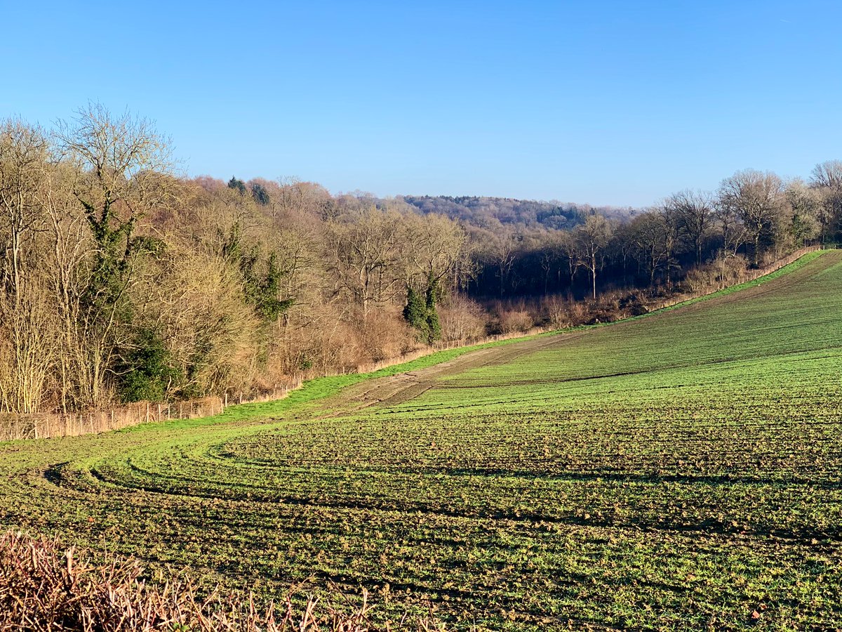 stu_new64's tweet photo. Beautiful circular walk in #EastSussex starting from #MarksCross #Mayfield & #Rotherfield but was it boggy https://t.co/mHl5ixWCdM