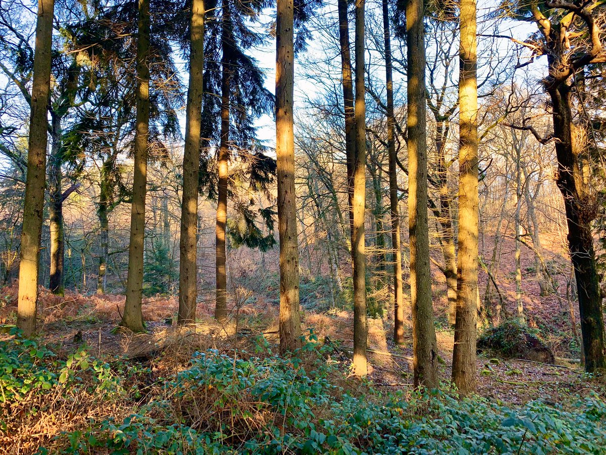 stu_new64's tweet photo. Beautiful circular walk in #EastSussex starting from #MarksCross #Mayfield & #Rotherfield but was it boggy https://t.co/mHl5ixWCdM