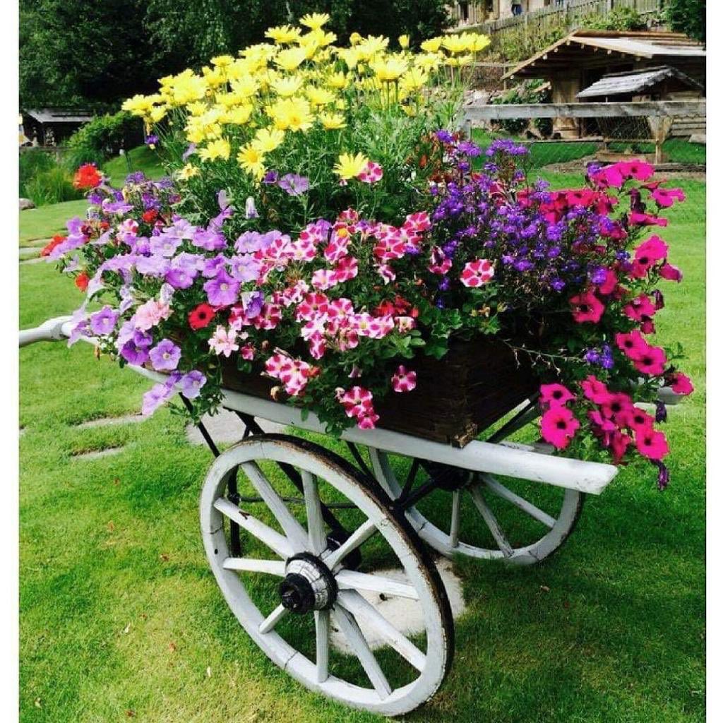 Şehzadeler Şehri Amasya'da, 
Eğitim Şehr-i Amasya sloganı altında,
5132 öğretmenimizle, geleceğimizin teminatı çocuklarımız için 2020 yılında da var gücümüzle çalışacağız. 
#egitimsehriAmasya
#2020amasyayaiyigelecek 
<a href="/tcmeb/">Millî Eğitim Bakanlığı</a>
<a href="/ziyaselcuk/">Ziya Selçuk</a>
<a href="/safran1958/">Mustafa SAFRAN</a>
<a href="/DrOsmanVarol/">Dr Osman Varol</a>
<a href="/ikostereli/">İlker KÖSTERELİOĞLU</a>