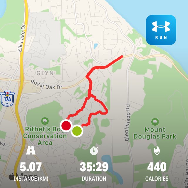 mrs_schuetze's tweet photo. Last run of 2019, my fastest since May. Recovering bit by bit from a bad fall over a year ago. My doc wishes I’d take up swimming, but I’m addicted to fresh air! 🤷♀️ 🏃♀️ #RunMamaRun https://t.co/gAn0FY8osA
