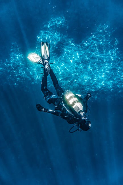 SCDiving's tweet photo. Just finished a dive class? Need a replacement cert card? Buy your PADI PIC Form and get your official certification card by mail!
Visit our website below to get started:
https://t.co/w41Fb4Prxq
#SCDiving #ScubaDiving #DiveClass https://t.co/458BfdLlfI