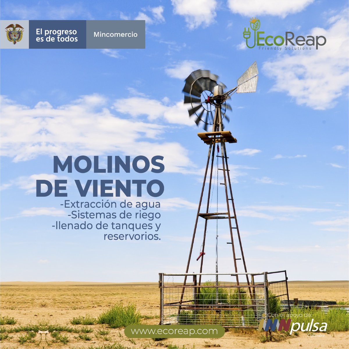 Eco Reap SAS tweet media