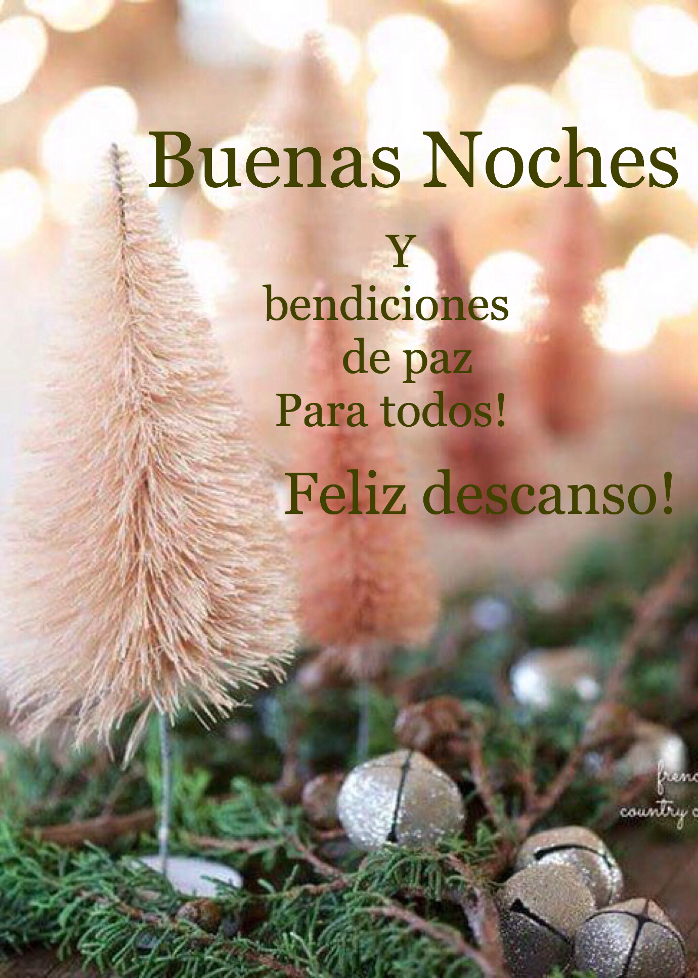 Loren Castillo on Twitter: Loren Castillo on Twitter: