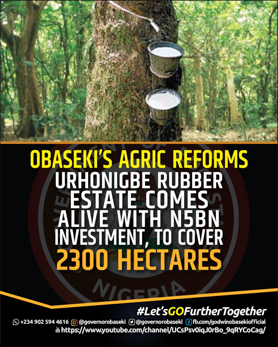 H. E. Godwin Obaseki tweet media