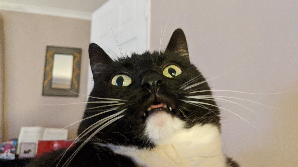 CuriousZelda's tweet photo. This year has been a privilege
There's nothing I have lacked
I cannot fault a thing except
My tongue will not retract https://t.co/71z9wpBszc