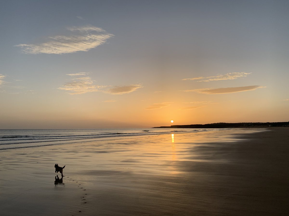 ewr__x's tweet photo. Stunning sunrise this morning @ Sandhaven Beach, South Shields @BBCLN ๐๐ #LookNorthWeather https://t.co/FXfxludFbR