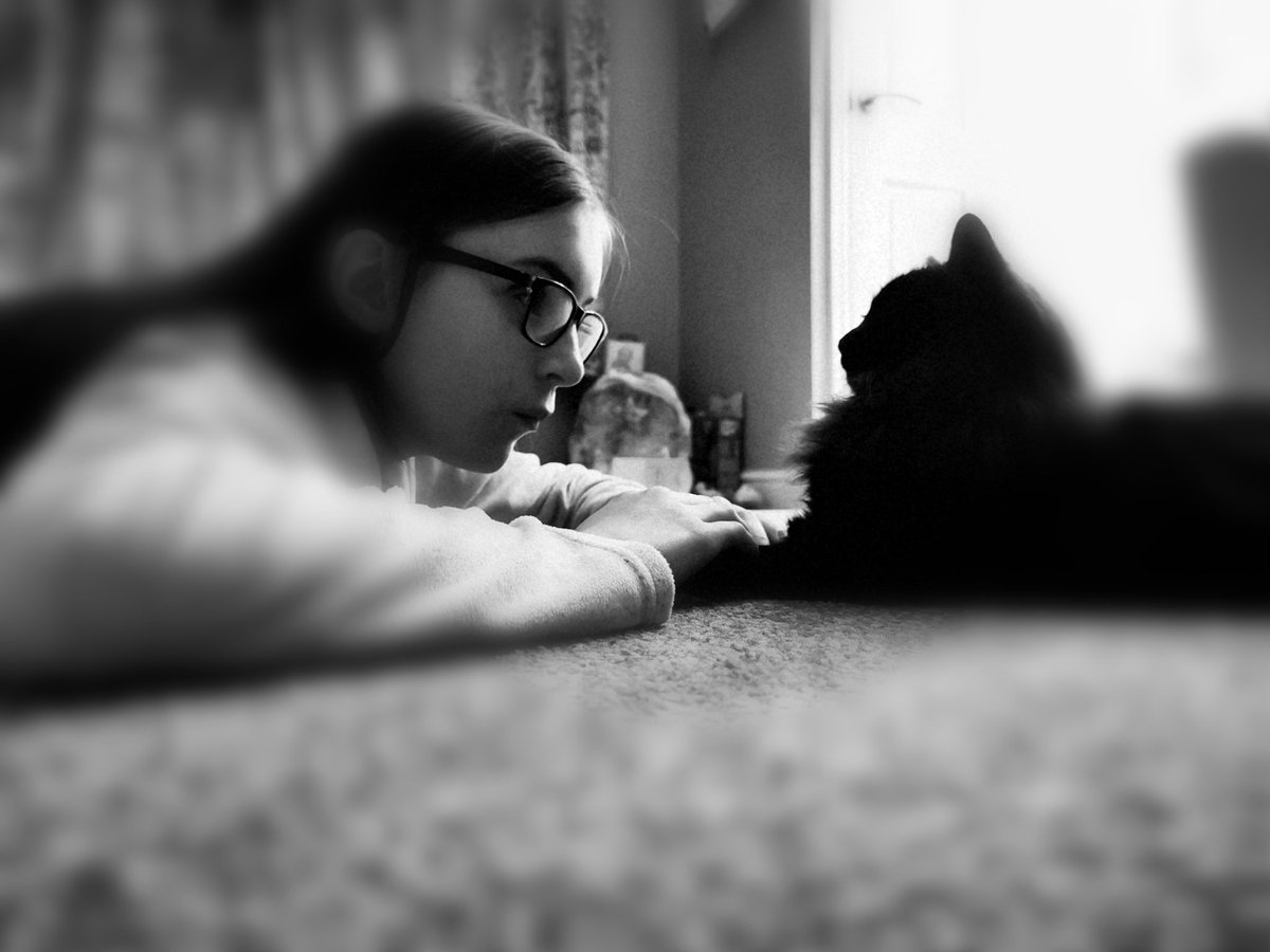 #cute #daughter #cat #pet #love