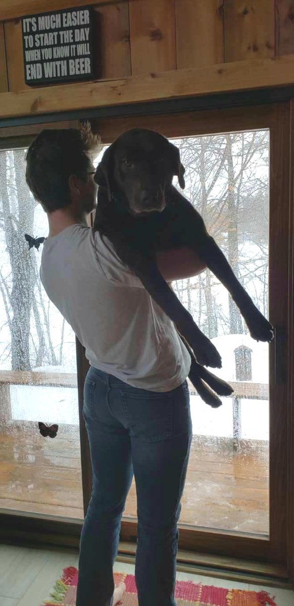 BarbyCodey's tweet image. Here's an excuse to show my ass off