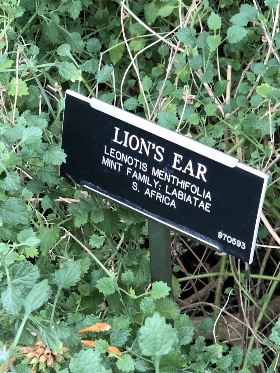 Join the Party tweet media