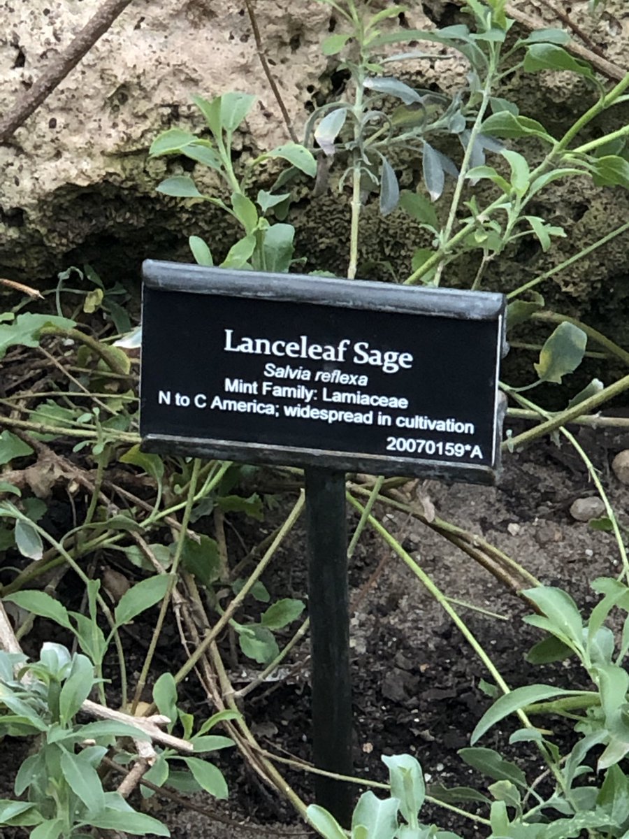 Join the Party tweet media