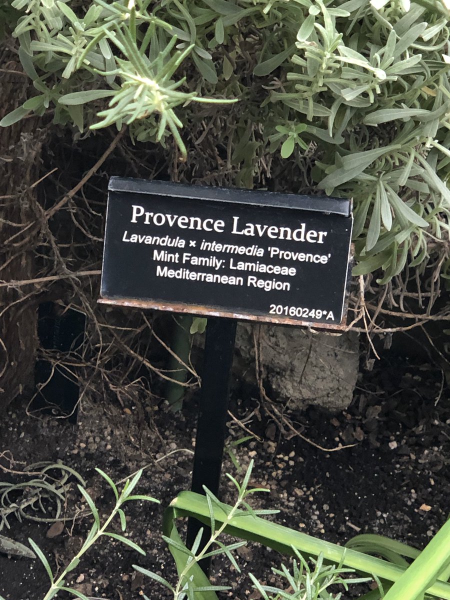 Join the Party tweet media